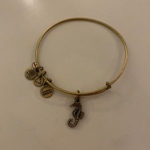 alex & ani bracelet